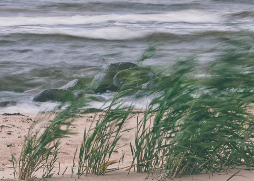 Asociatyvi nuotr. Canva nuotr. 