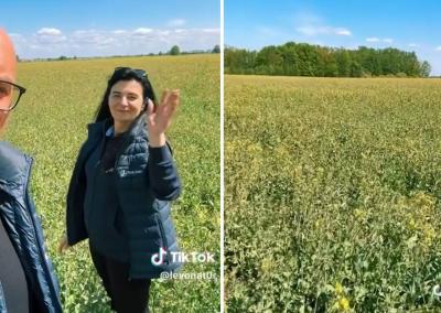Skandalingo vaizdo įrašo stop kadrai.
