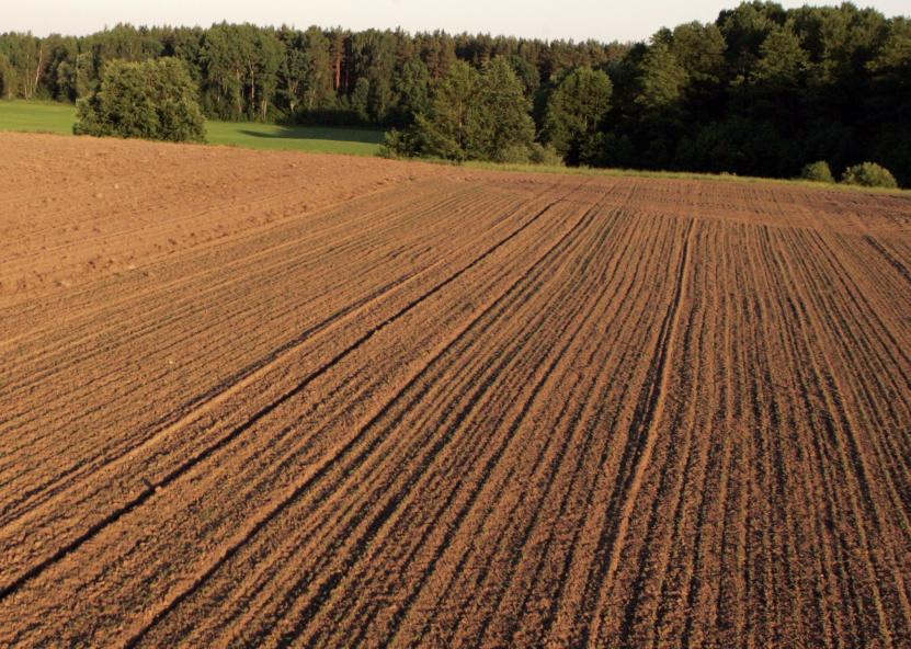 Žemės ūkio ministerijos nuotr. 