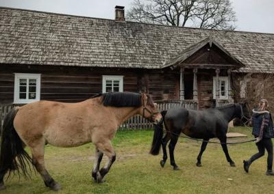 Asociatyvi nuotr. Anykšta nuotr.