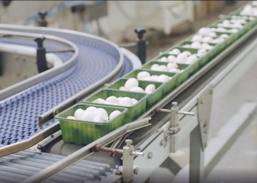 Asociatyvi nuotr. Baltic Champs nuotr. 