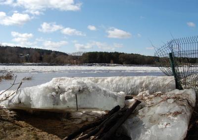Kėdainių mugės nuotr.