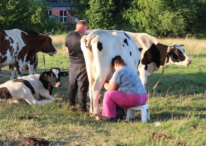 Asociatyvi nuotr. Gedimino Stanišausko nuotr. 