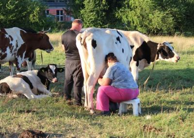Asociatyvi nuotr. Gedimino Stanišausko nuotr.