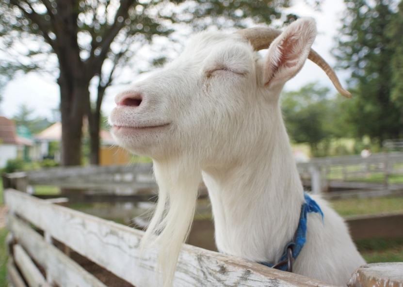 Asociatyvi nuotr. Canva nuotr.