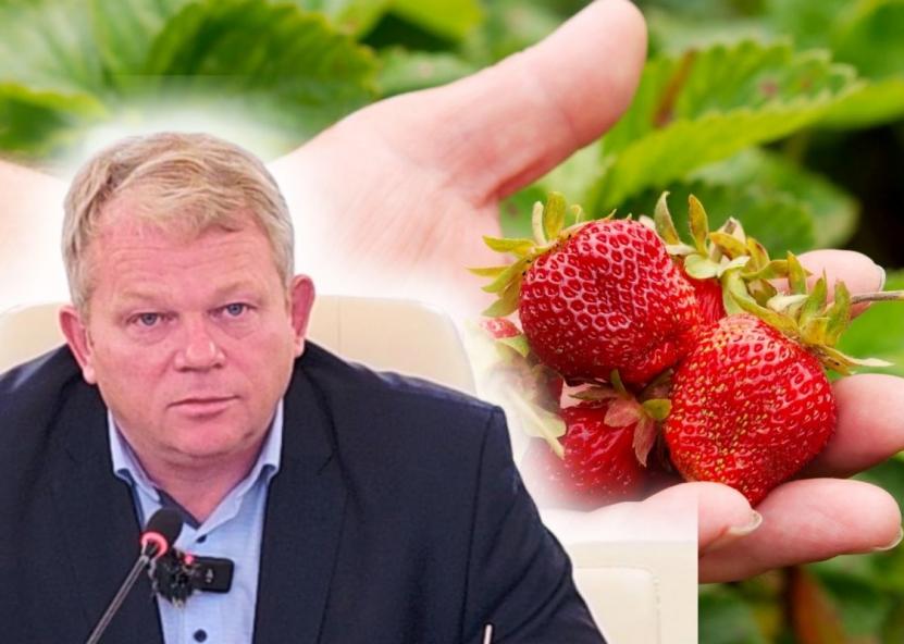 A. Palionio vadovaujama Žemės ūkio ministerija giriasi apie nuostolių kompensavimą, bet, pasak ūkininkų, gaunamos išmokos realiai nepadengia nė vienos sąskaitos.